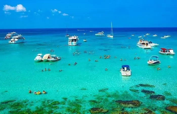 Paradise Blue * Pomos