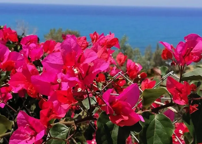 Vila Paradise Blue Pomos