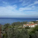 Paradise Blue