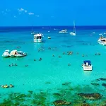 Paradise Blue * Pomos