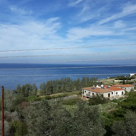 Paradise Blue