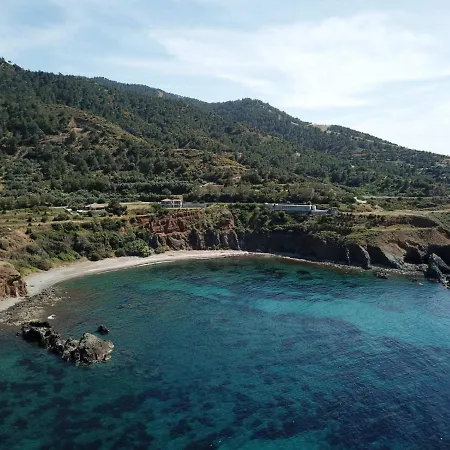 Paradise Blue * Pomos