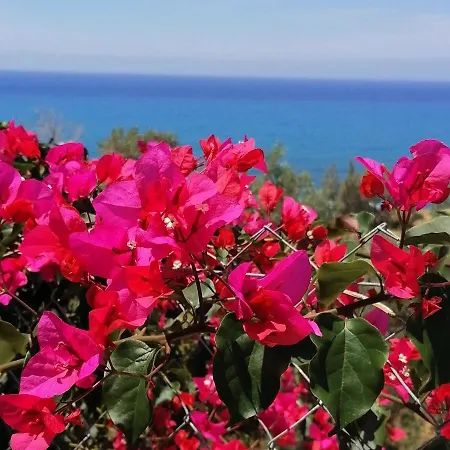 Villa Paradise Blue Pomos