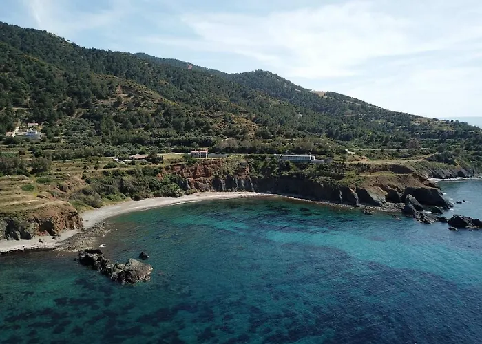 Paradise Blue * Pomos